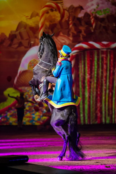 Apassionata_2014    202.jpg